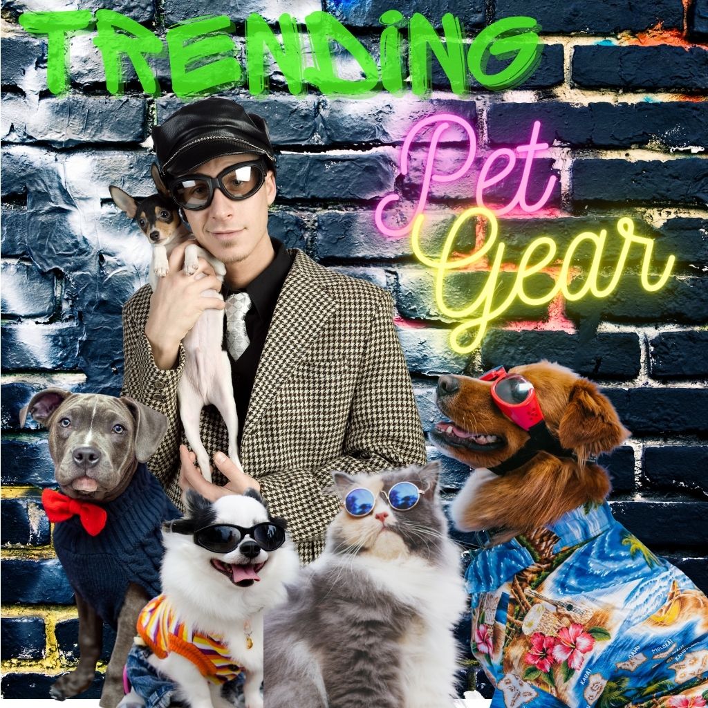 Pet Gear