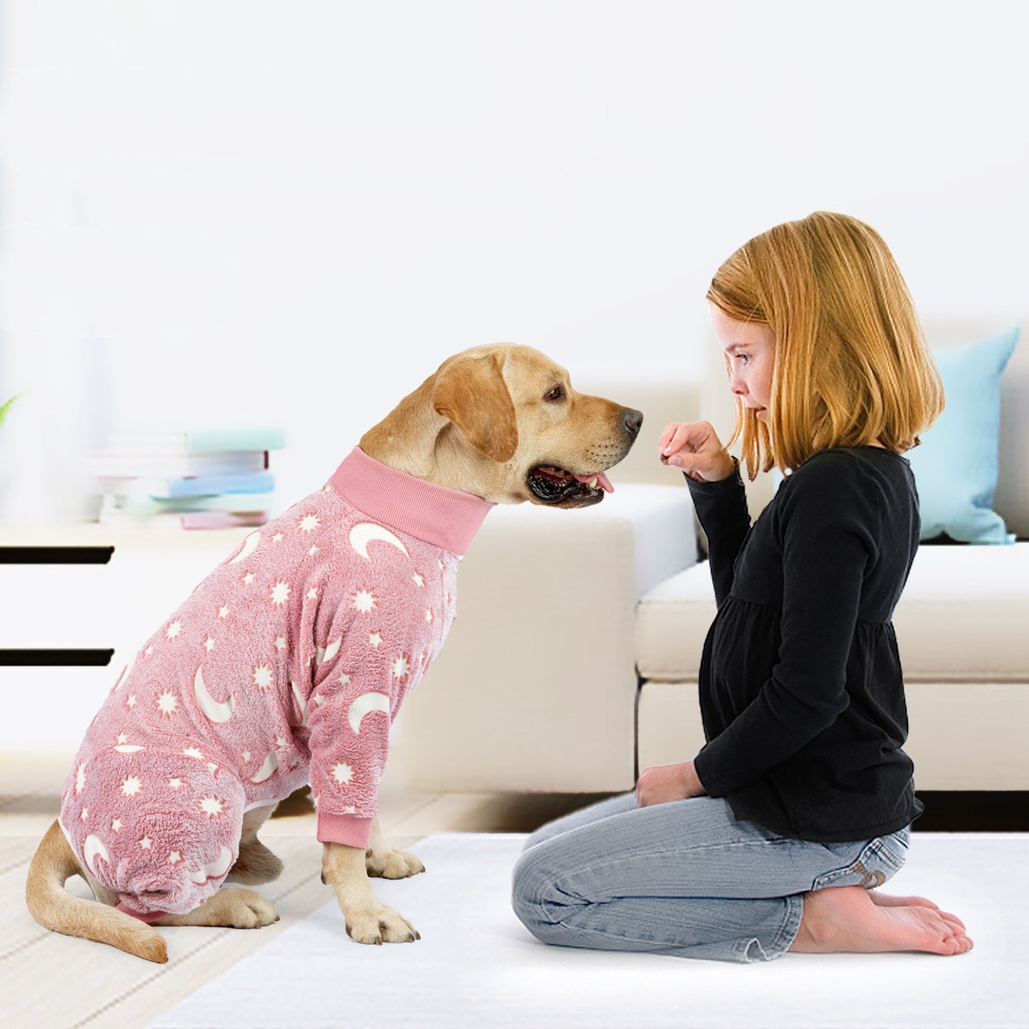 Winter Flennel Dog Pyjamas.