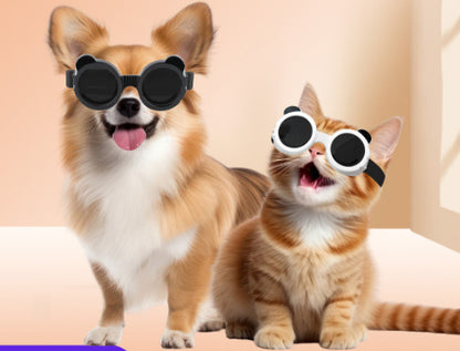 Goggle Sunglasses for your Dog or Cat, UV Protection.
